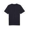 Puma GRAPHICS Mountain Tee Siyah Erkek T-Shirt