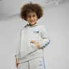 Puma X HOT WHEELS Hoodie Gri Erkek Çocuk Hoodie