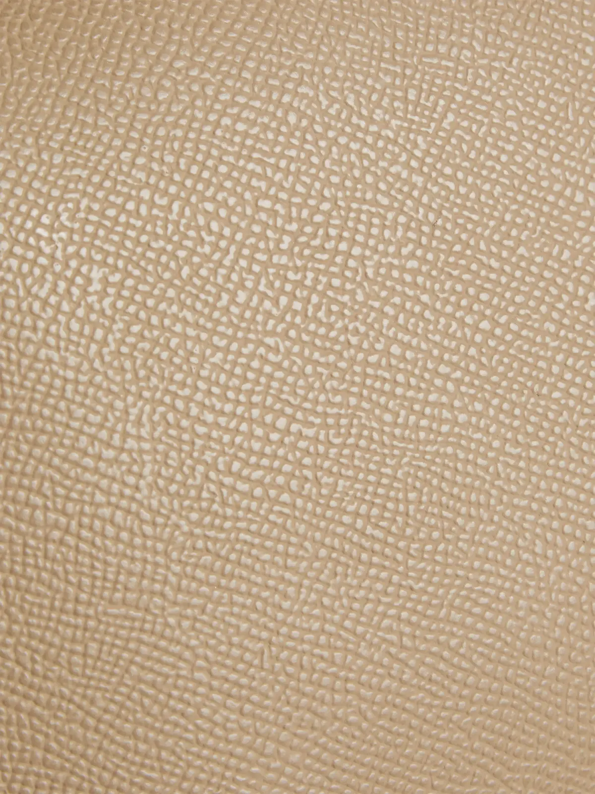 Calvin Klein CK MUST CONV CAMERA, PAI Bej Kadın Çanta