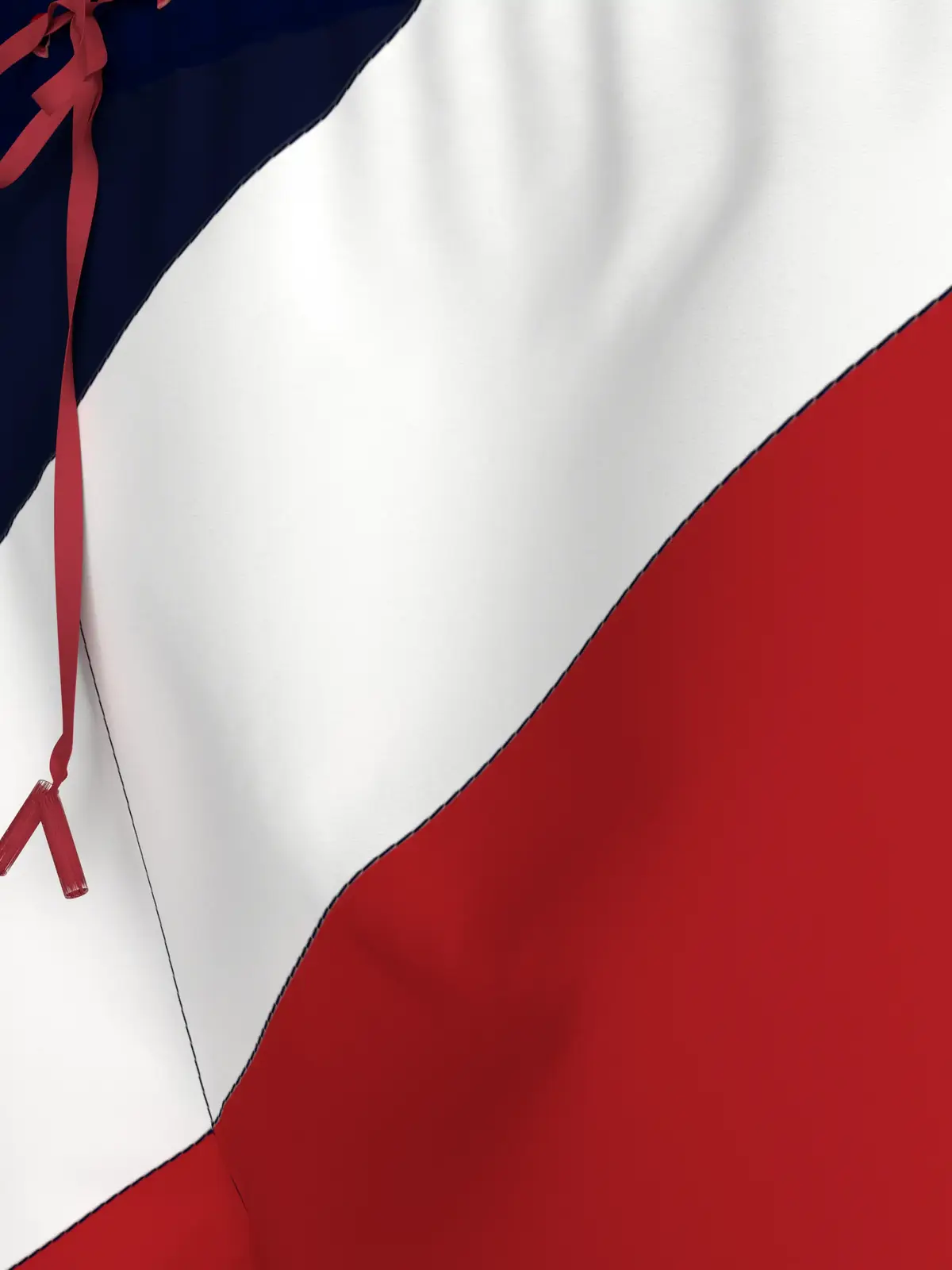 Tommy Hilfiger MEDIUM DRAWSTRING DI, DW5 Siyah Erkek Mayo