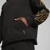 PUMA Caution Hoodie Siyah Erkek Hoodie