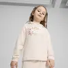 Puma ESS+ PUMA FC Hoodie Bej Çocuk Hoodie