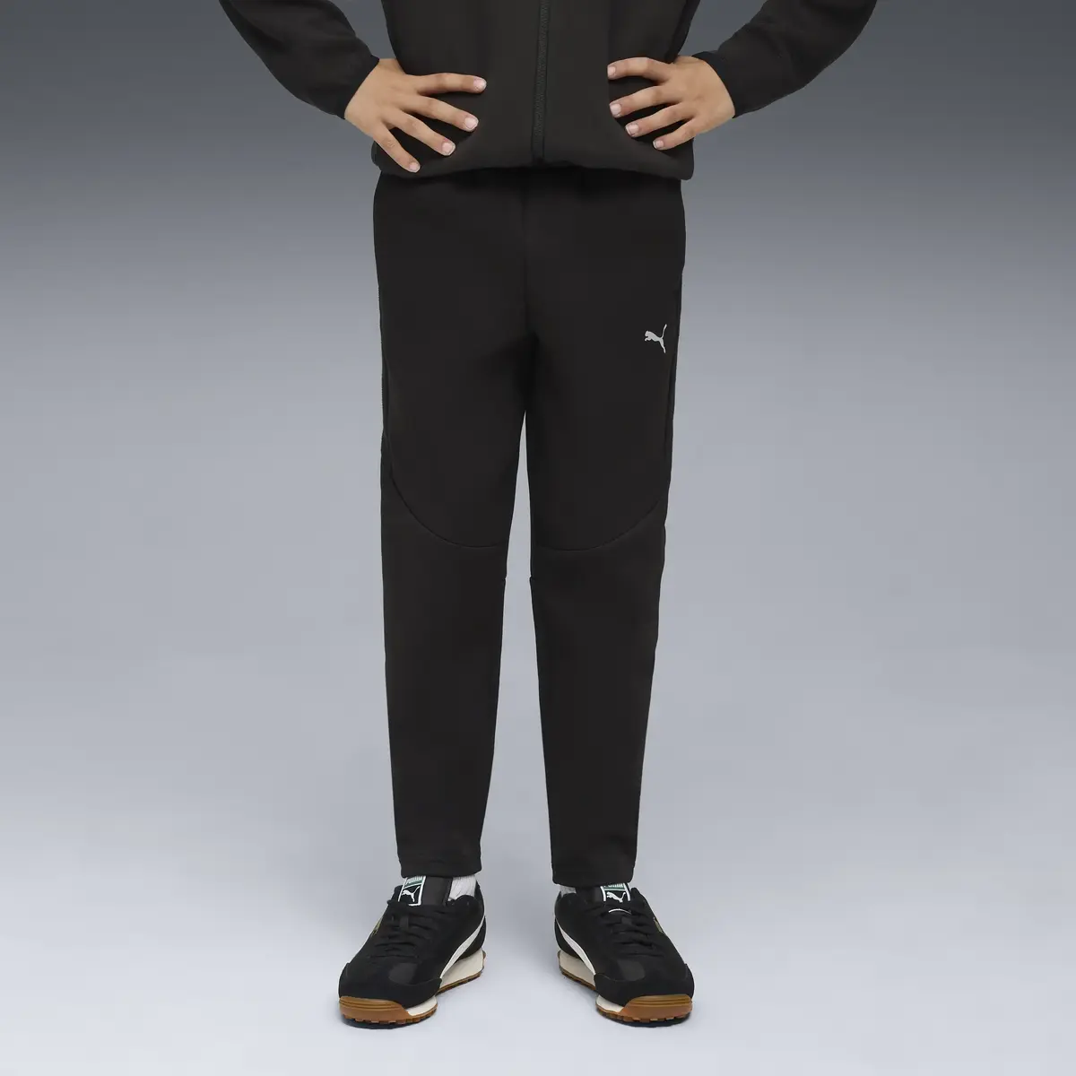 Puma EVOSTRIPE Pants DK Siyah Unisex Eşofman Altı