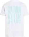 Calvin Klein PAINTED CALVIN KLEIN, YAF Beyaz Erkek T-Shirt & Polo