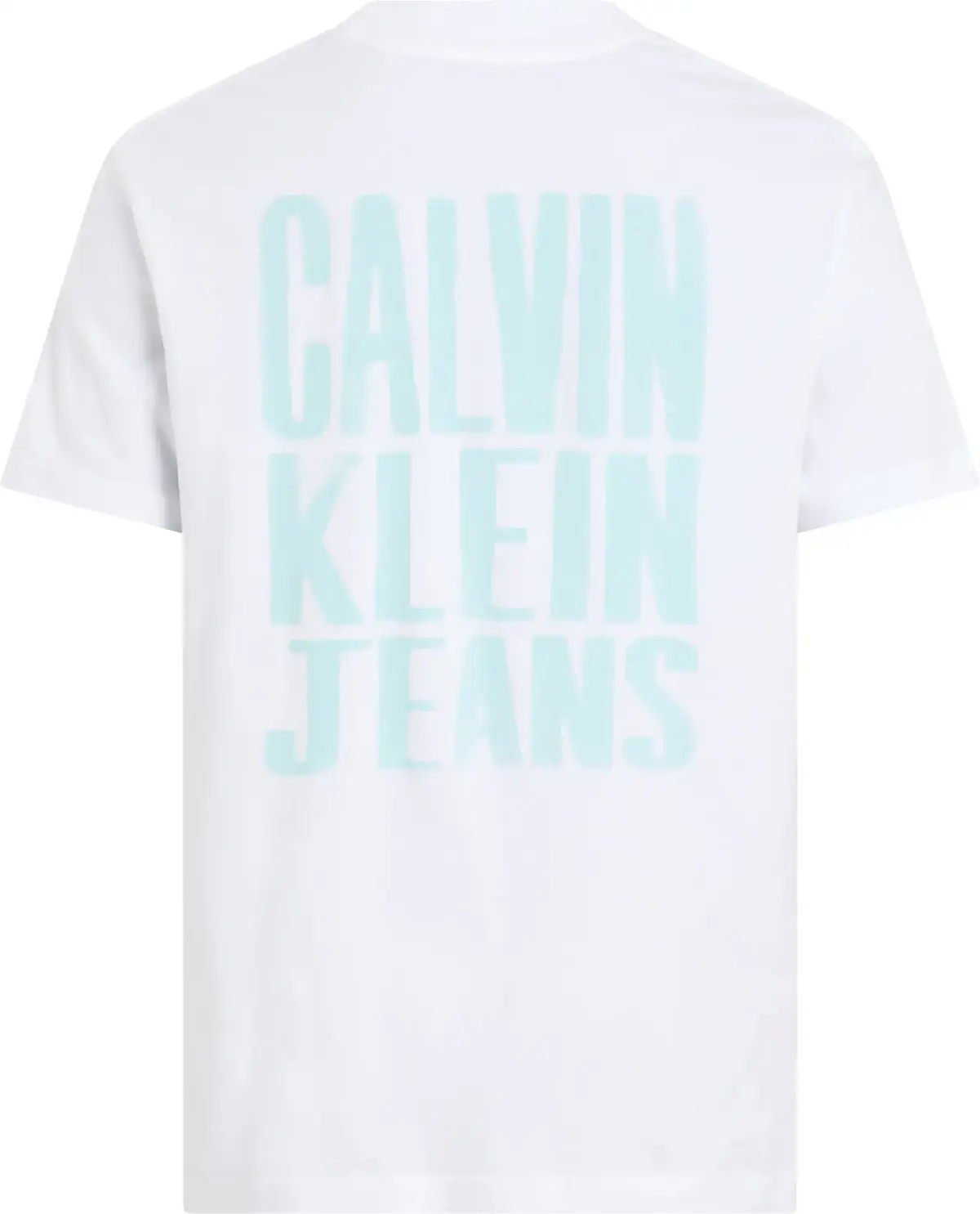 Calvin Klein PAINTED CALVIN KLEIN, YAF Beyaz Erkek T-Shirt & Polo