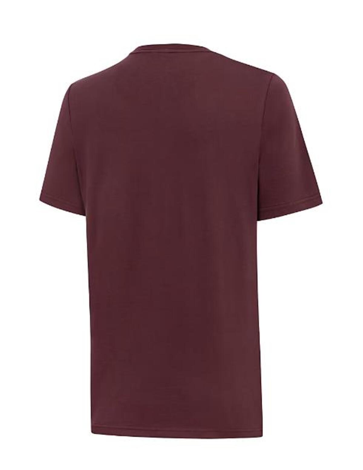 Puma Istanbul Graphic Tee Bordo Erkek T-Shirt