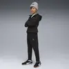 Puma EVOSTRIPE Pants DK Siyah Unisex Eşofman Altı
