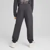 Puma ESS+ MID 90S Sweatpants TR Erkek Eşofman Altı