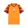 Puma GSK Warm Up Jersey GALATASARAY Erkek Antrenman Forması