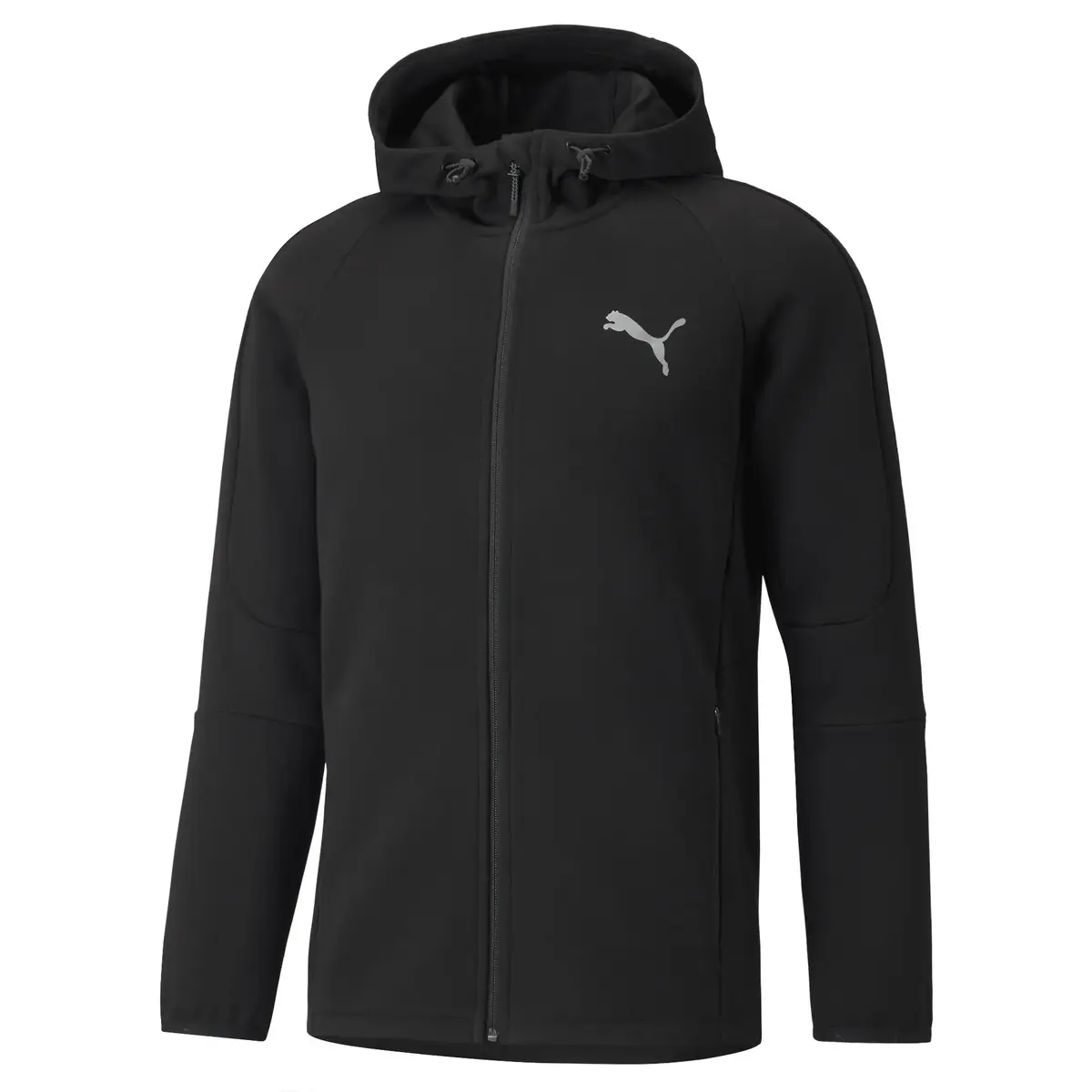 Puma Evostrıpe Fz Hoodie Siyah Erkek Hoodie