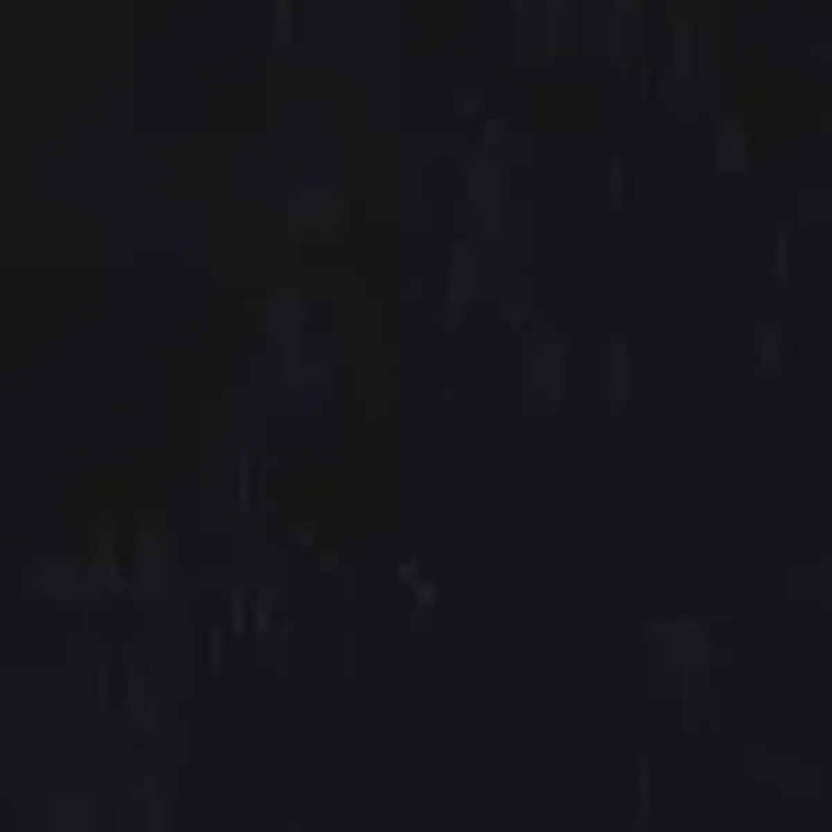 Tommy Hilfiger TJW BXY BADGE CREW, BDS Siyah Kadın Sweatshirt