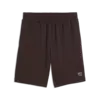 PUMA ESS ELEVATED Shorts Kahverengi Erkek Şort