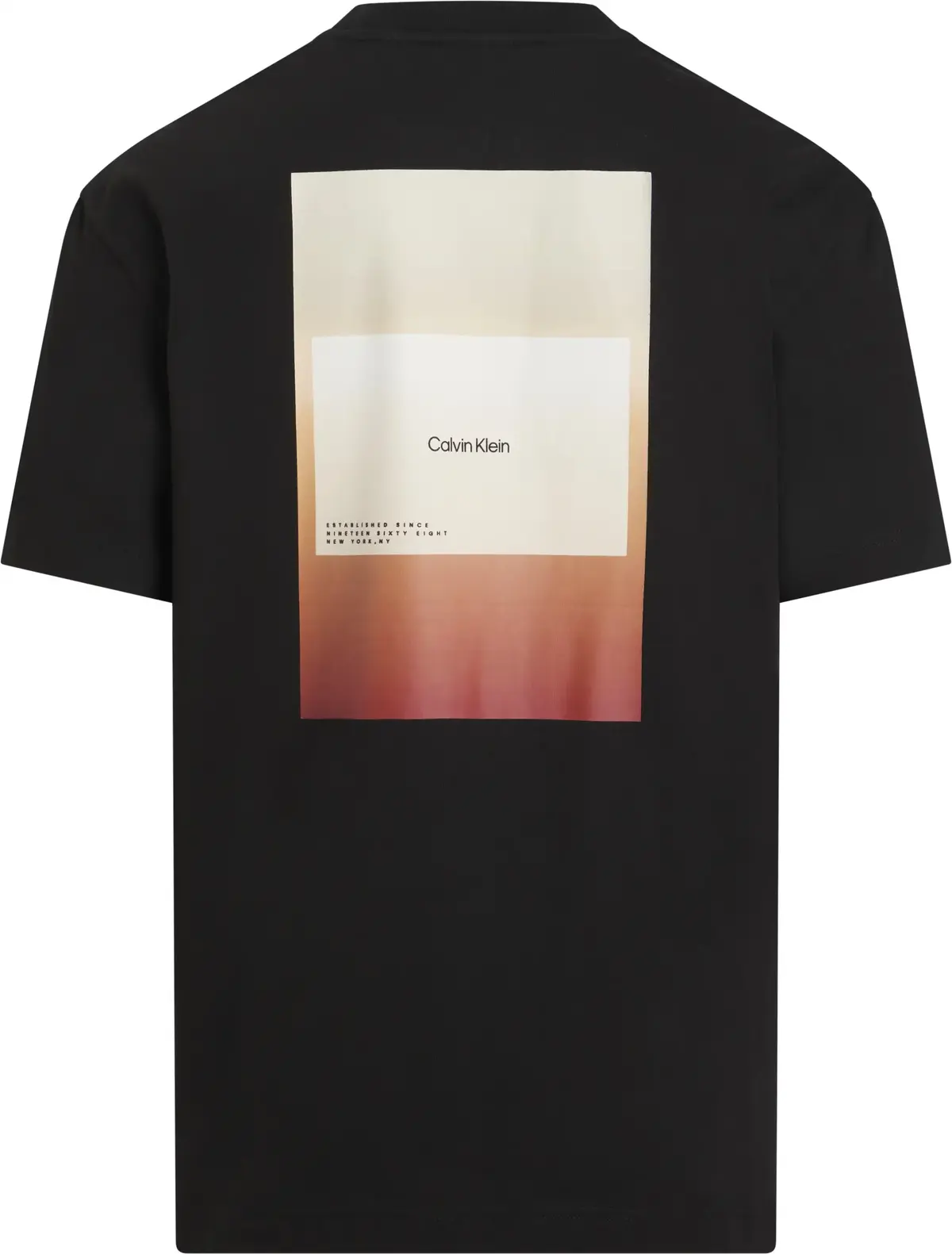 Calvin Klein OVERLAY PRINT T-SHIR, BEH Siyah Erkek T-Shirt & Polo