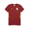 Puma GSK EVOSTRIPE Tee Kırmızı Erkek T-Shirt