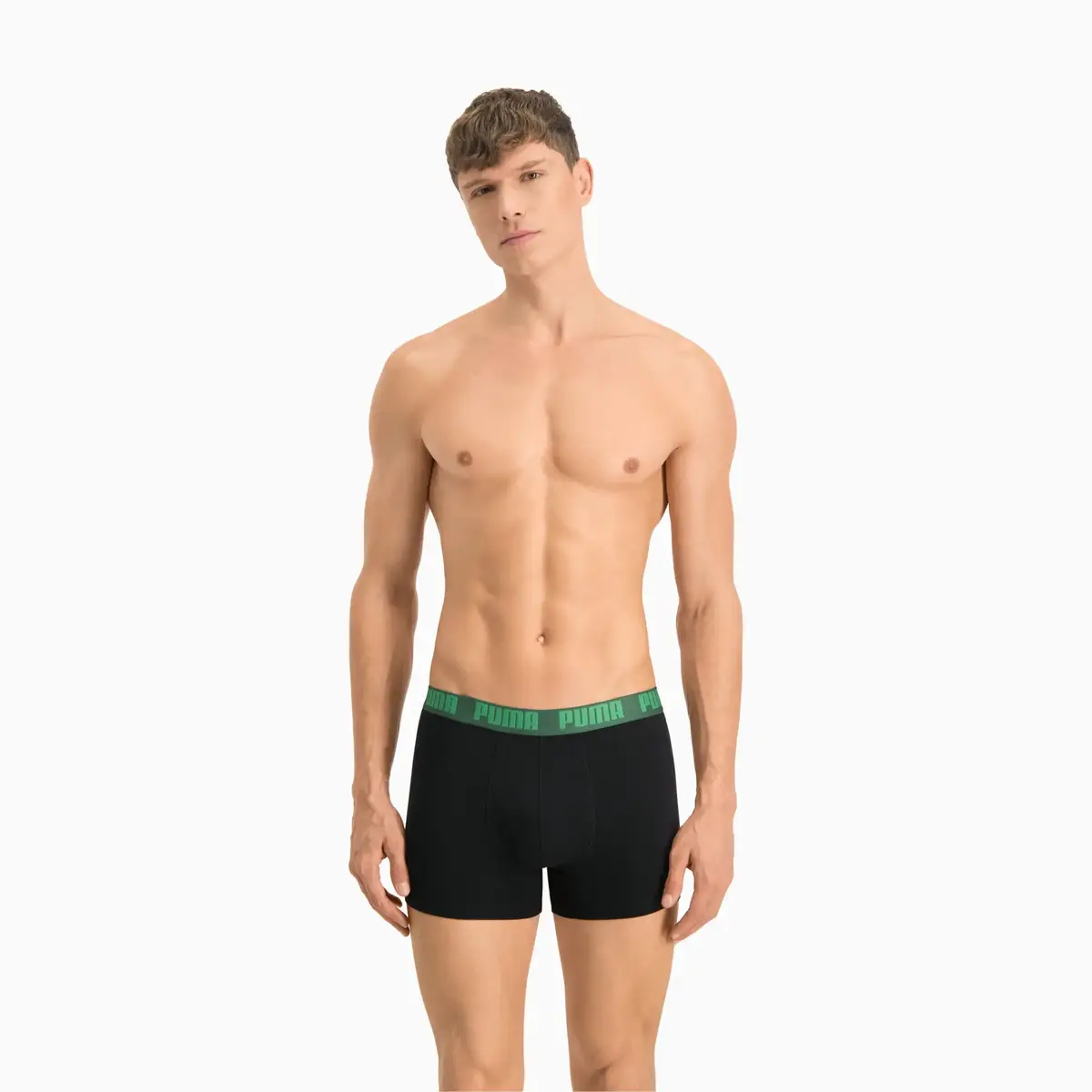 Puma PUMA HERITAGE STRIPE BOXER 2P green Yeşil Erkek 2'li Boxer