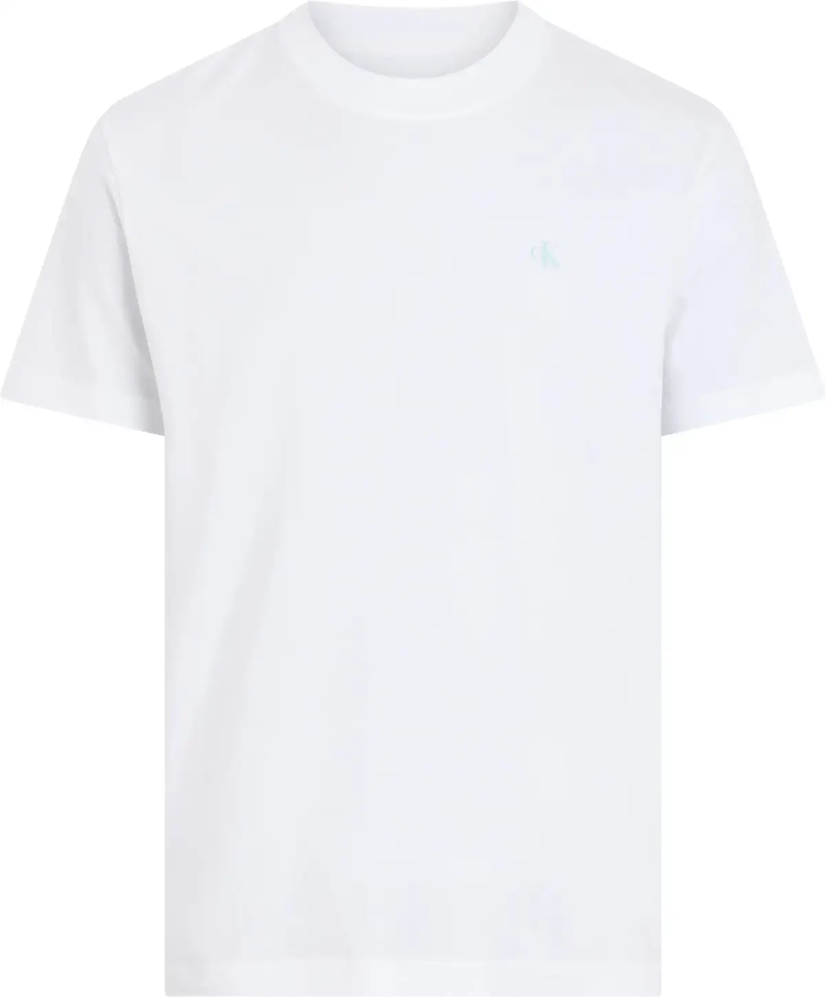 Calvin Klein PAINTED CALVIN KLEIN, YAF Beyaz Erkek T-Shirt & Polo