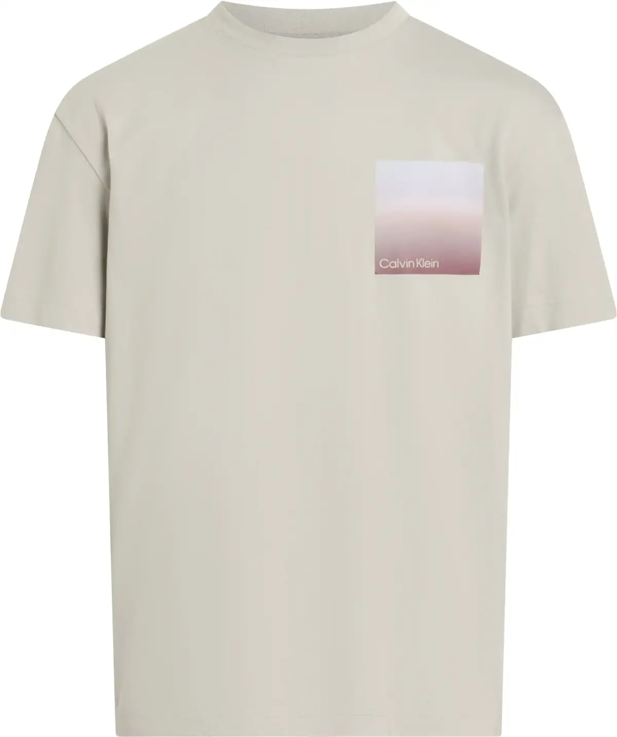 Calvin Klein OMBRE BONDED BOX LOG, PBQ Bej Erkek T-Shirt & Polo