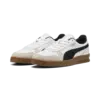 Puma Indoor Erkek Spor Ayakkabı & Sneaker