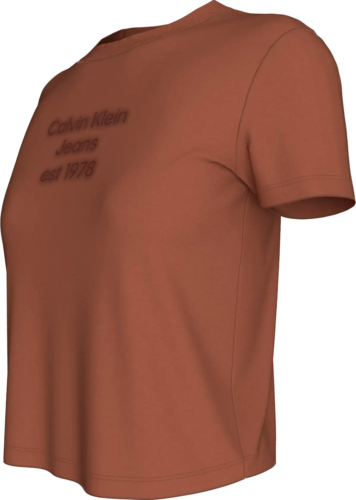 Calvin Klein WASHED PUFF PRINT BA, GAM Kahverengi Kadın T-Shirt & Polo