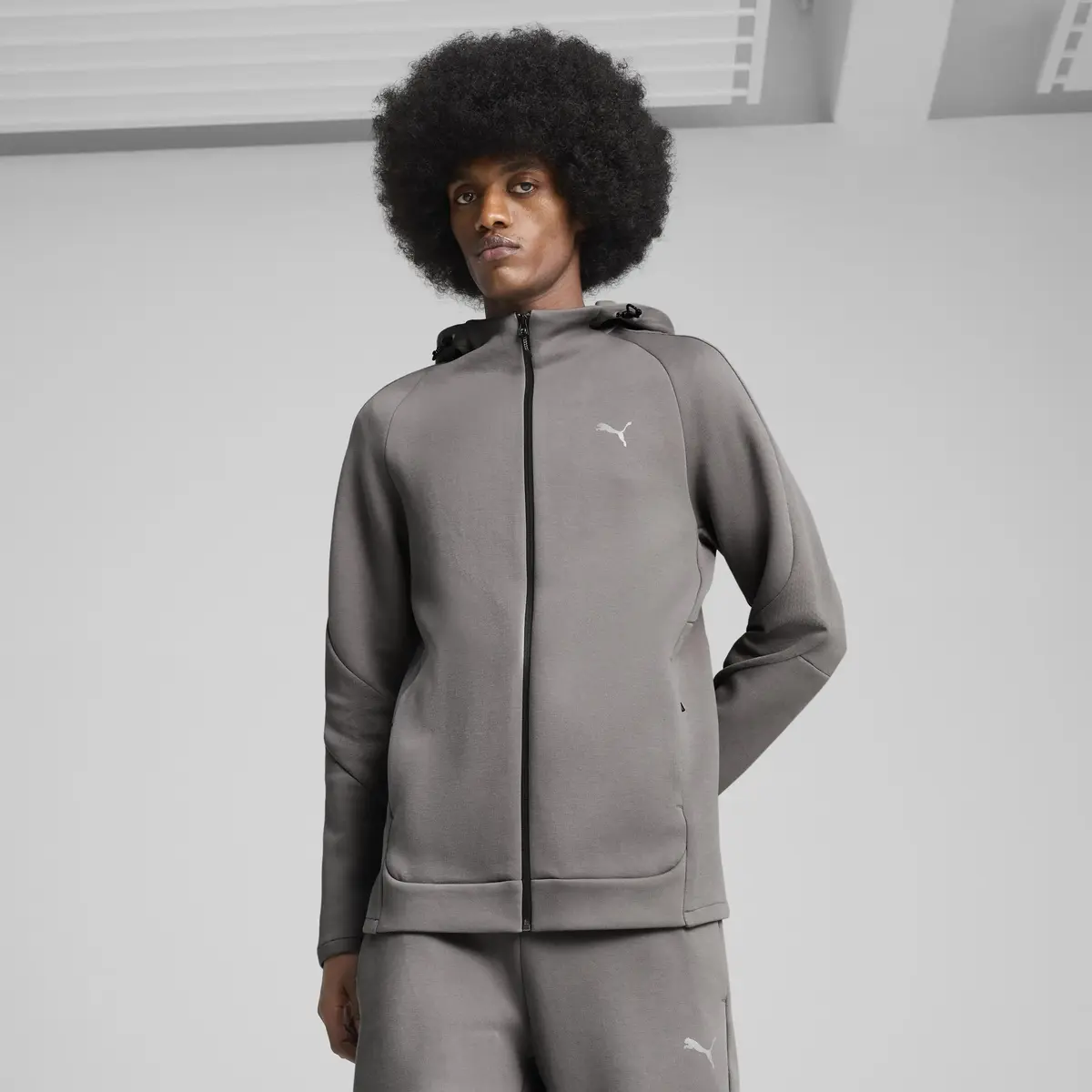 PUMA EVOSTRIPE Full-Zip Hoodie Gri Erkek Fermuarlı Ceket