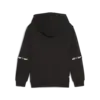 Puma X HOT WHEELS Hoodie Siyah Erkek Sweatshirt