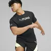 Puma FIT ULTRABREATHE TRIBLENDTEE Siyah Erkek T-Shirt