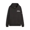 Puma FRANCHISE Graphic Hoodie 1 Siyah Erkek Hoodie