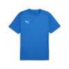 Puma teamGOAL Jersey Mavi Erkek T-Shirt