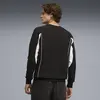 Puma SPORT Crew TR Siyah Erkek Sweatshirt