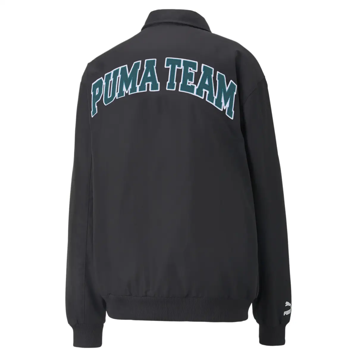Puma Team Bomber Jacket Siyah Erkek Ceket