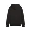 Puma Posterize Hoodie Siyah Erkek Sweatshirt