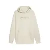 PUMA X PTC Graphic Hoodie Krem Erkek Hoodie