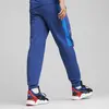 Puma BMW MMS Sweat Pants, reg/cc Mavi Erkek Eşofman Altı