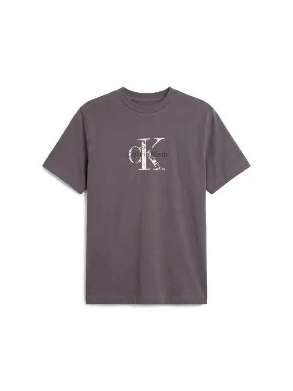 Calvin Klein SS 20s EZ Distressd, QGE Gri Erkek T-Shirt