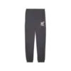 Puma ESS+ MID 90S Sweatpants TR Erkek Eşofman Altı