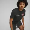 Puma New Era Siyah Erkek T-Shirt