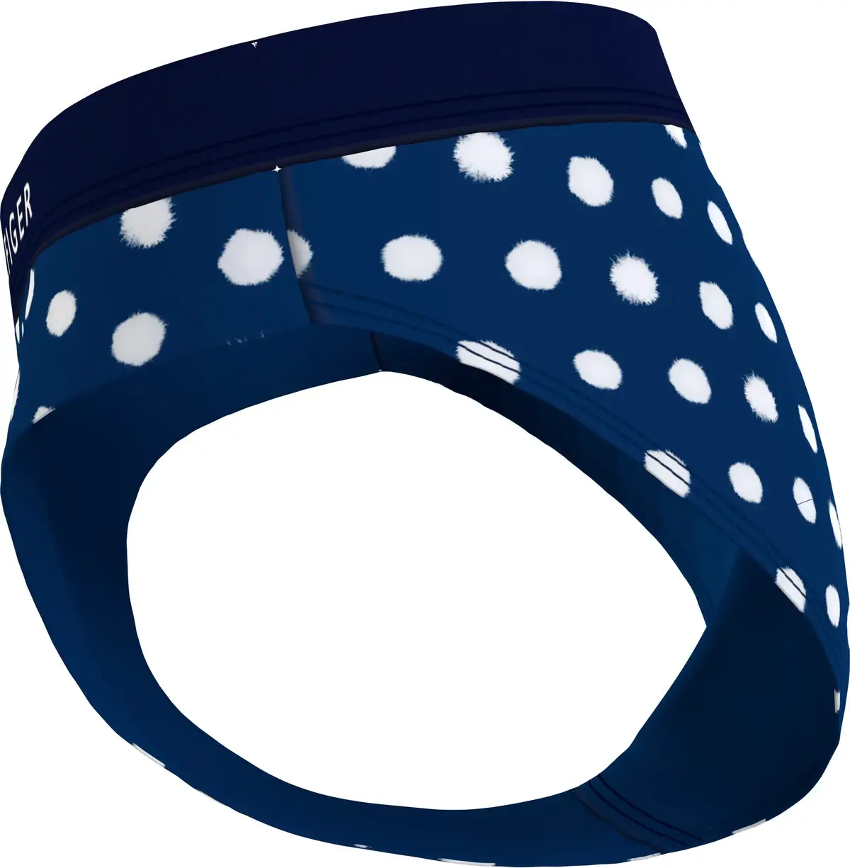 Tommy Hilfiger CLASSIC BIKINI Kadın Mavi Bikini Altı