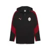 Puma GSK EVOSTRIPE Hooded Jacket Siyah Erkek Ceket