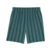 Puma CLASS 8" Shorts Yeşil Erkek Şort