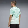 PUMA FPF Away Jersey Replica Yeşil Erkek Forma