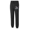 Puma Fandom Sweatpants Siyah Erkek Eşofman Altı