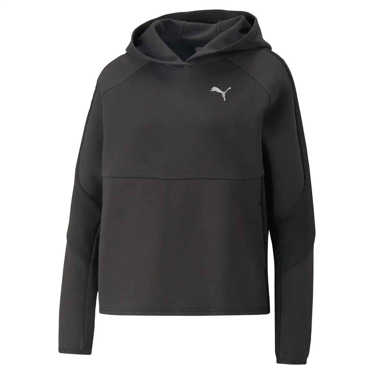 Puma EVOSTRIPE Hoodie Siyah Kadın Sweat