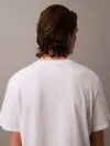 Calvin Klein SS Hero Monologo Tee 20s Beyaz Erkek Tişört