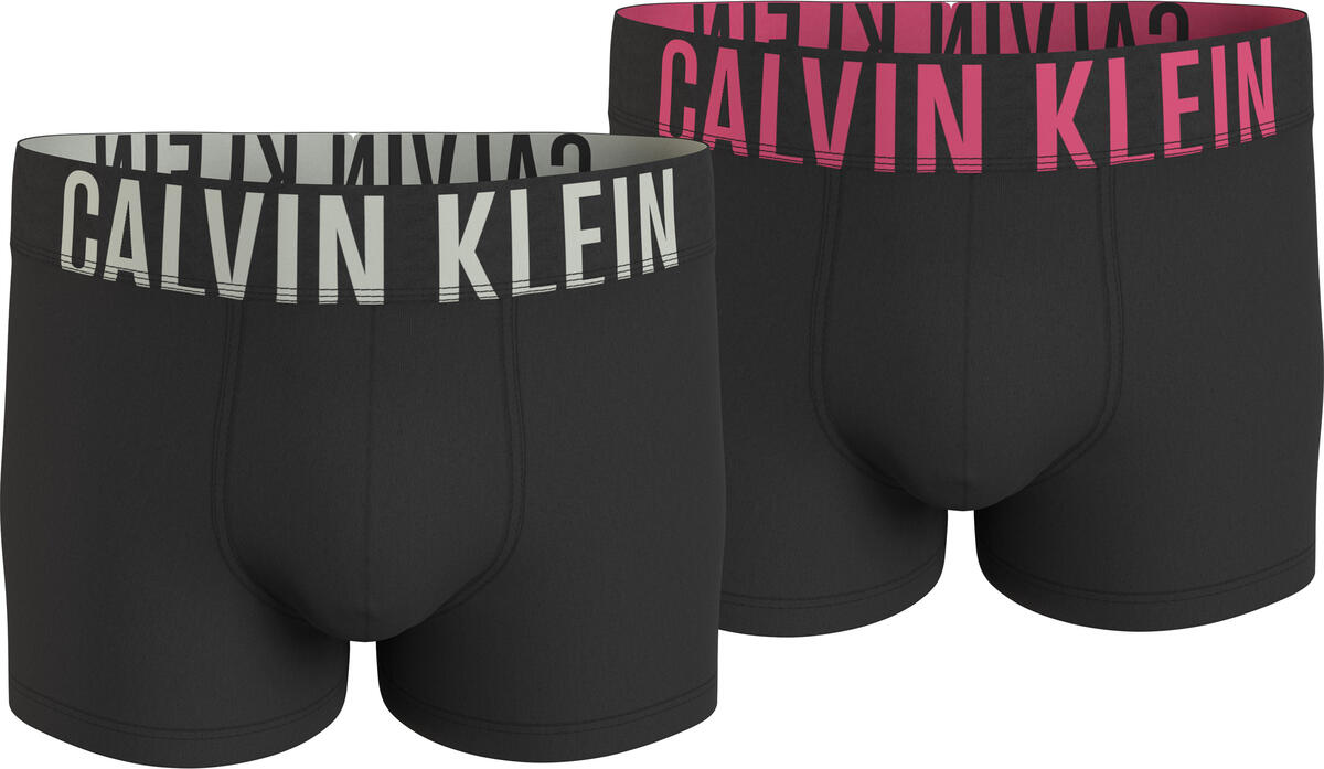 Calvin Klein TRUNK 2PK Erkek Siyah Boxer Set