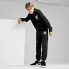 Puma ESS+ MID 90S Hoodie TR Siyah Erkek Sweatshirt