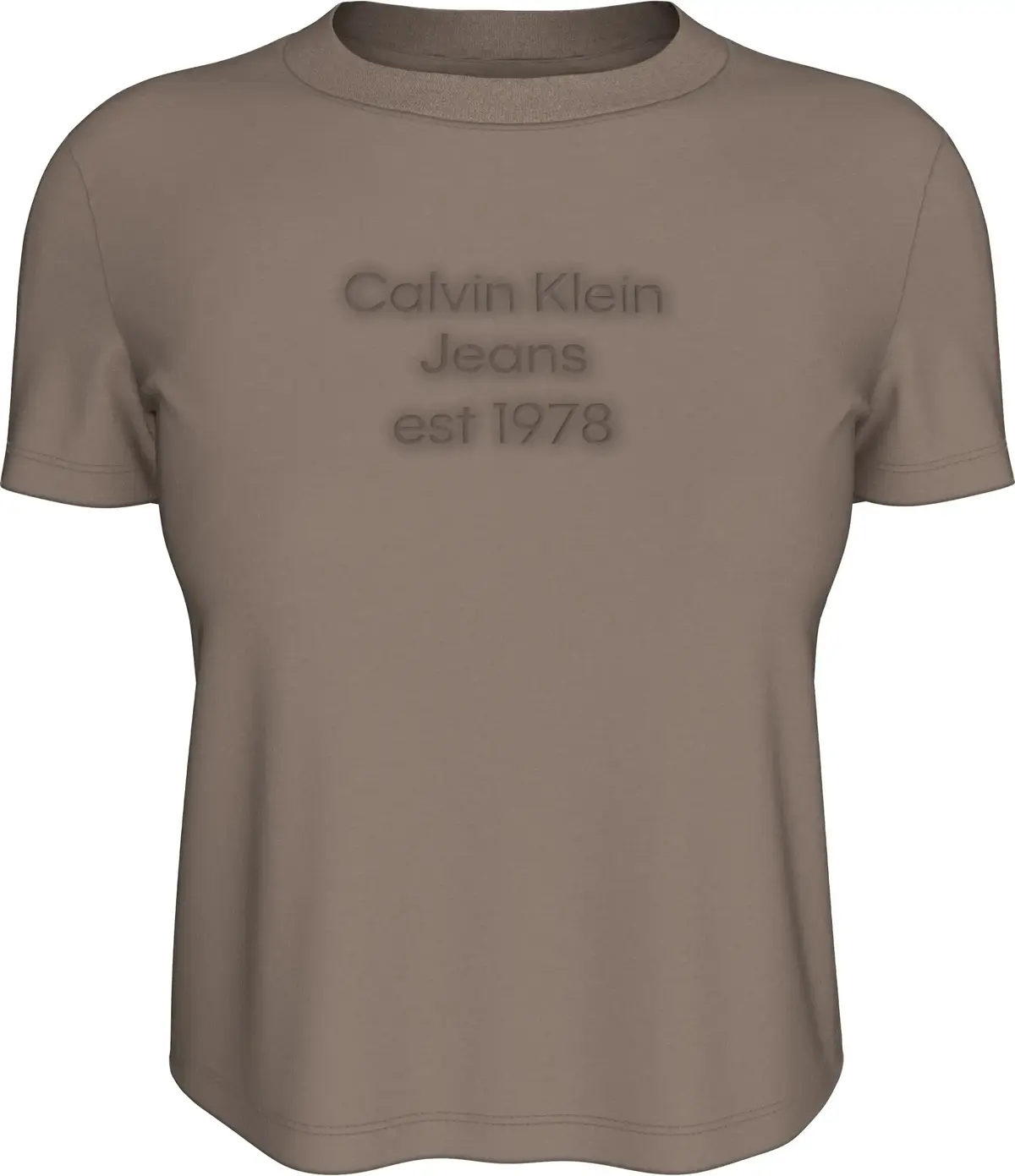 Calvin Klein Gri Kadın T-Shirt & Polo