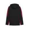 Puma GSK EVOSTRIPE Hooded Jacket Siyah Erkek Ceket