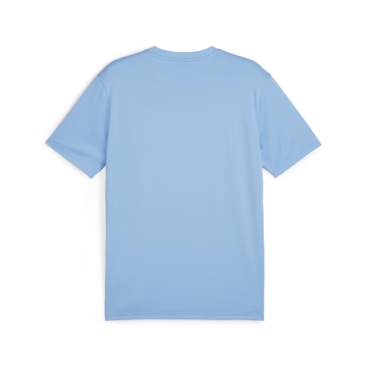 Puma teamGOAL Jersey Mavi Erkek T-Shirt