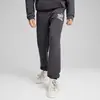 Puma ESS+ MID 90S Sweatpants TR Erkek Eşofman Altı