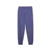 PUMA ESS ELEVATED Pants TR cl Mavi Erkek Eşofman Altı